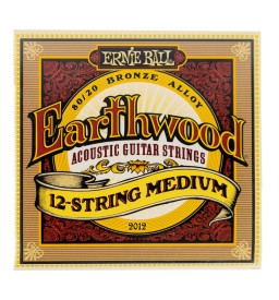 Ernie Ball medium